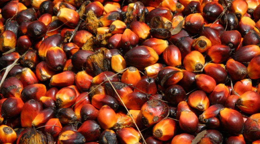 SeventhGen-Palmoil