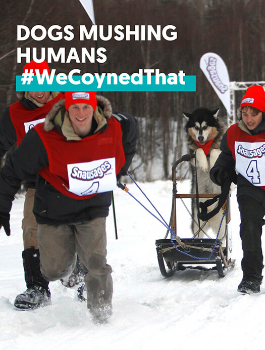 Dog Mushing Humans